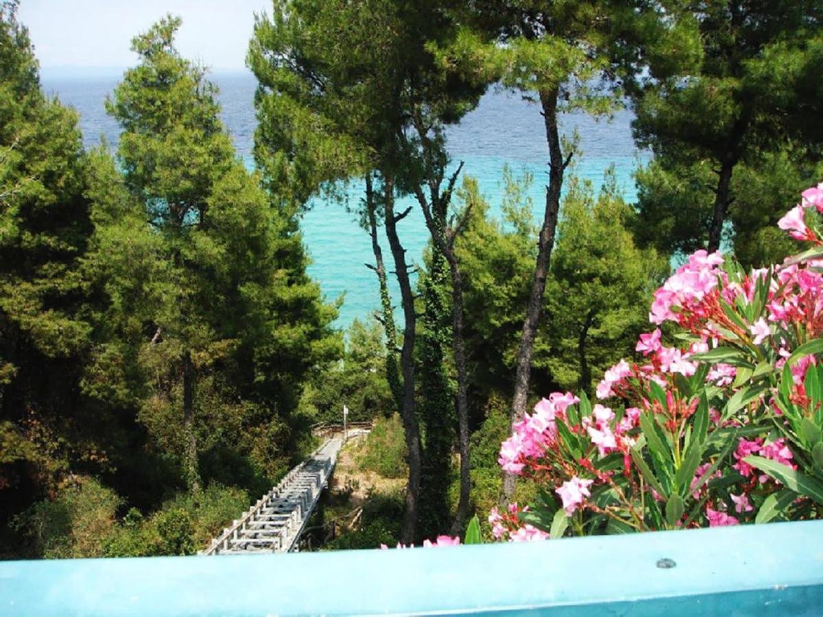 Porto Thea Alexandra Shared Pool Villa, Афитос Экстерьер фото